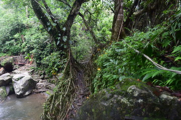 Fototapeta premium Cherrapunji