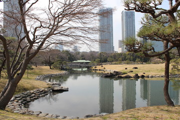 Fototapeta na wymiar hamarikyu garden in the tokyo