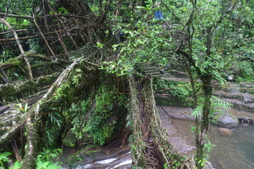 Obraz premium Cherrapunji