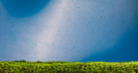 easter blue background and lawn grass