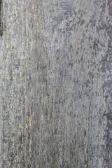 Obraz premium Grayish Old Weathered Wood Texture 
