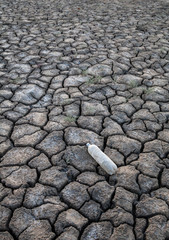 Old plastic bottle on the ground