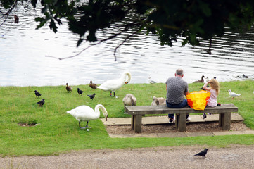 Father and daughter feeding the birds lakeside - 267383183