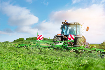 c'est la fenaison au printemps (retouner le foin)