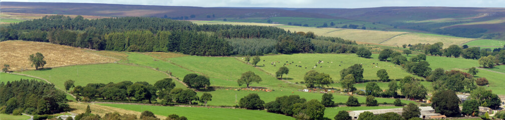Panoramic landscape in Yorkshire - 267383349