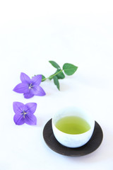 Obraz na płótnie Canvas 緑茶とキキョウの花