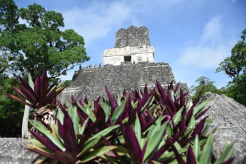 LOW ANGLE VIEW OF HISTORICAL MAYAN  TEMPLE IN TIKAL