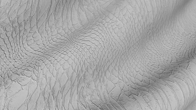 Grey snake skin texture. Abstract serpent canvas in motion. 
