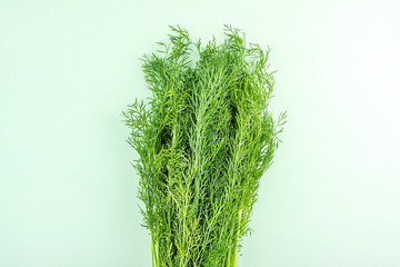 Fresh vegetable fennel on a light green background