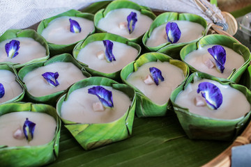 Thai Jelly With Coconut Topping Thai dessert that made of flour, sugar, coconut milk and flavoring ingredient. Tako has green leaf cup, coconut topping, turquoise jelly base