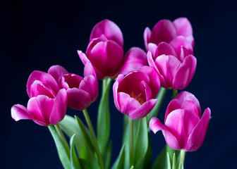 Obraz na płótnie Canvas Bouquet of pink tulips on a dark background.Beautiful pink flowers