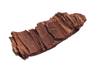  Piece of bark inside an isolated white background