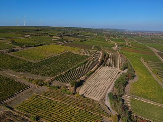 Fototapeta na wymiar Weinanbaugebiet Weinberg Luftbild Panorama