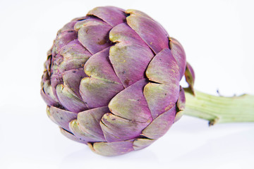 A single artichoke flower on a white background