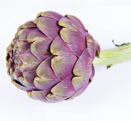 A single artichoke flower on a white background