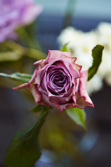 Flower arrangement at wedding party