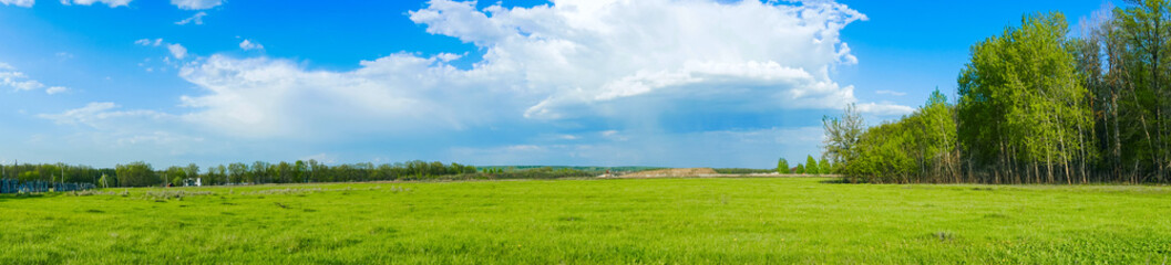 panoramic view of the field and blue sky