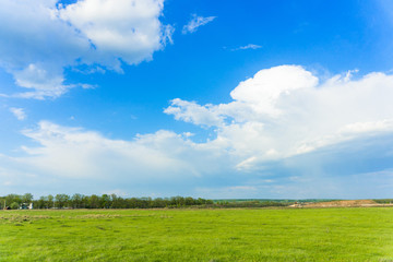 Fototapeta na wymiar landscape of juicy green grass and blue sky