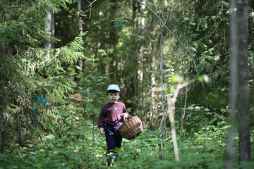 Children go to the forest for mushrooms