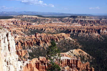 Blue Sky and sunshine in Bryce Canyon
