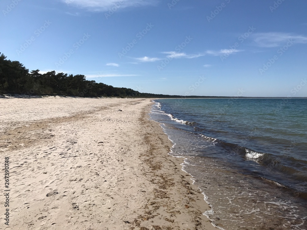 Wall mural beach and sea - coastline of the island rügen