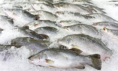 Fish Raw on ice at the fish market and department store, Product Display Shelf.