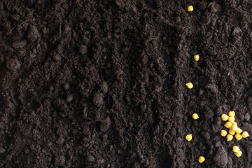 Seeds in the ground. Seed preparation for planting in the spring.