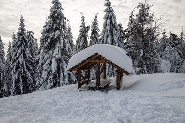 winter scenery with shelter, snow and spruce trees - Girova hill summit near Mosty u Jablunkova in Czech republic