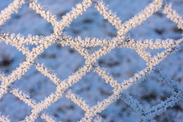 winterlich
