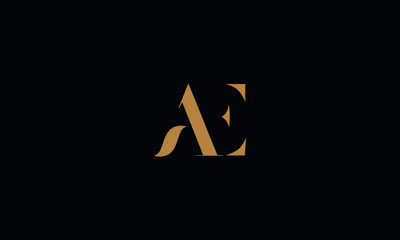 AE logo design template vector illustration