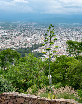 Beautiful And Expansive City Of Salta Argentina