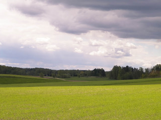 Green fields in Kashubia region - Northern Poland.