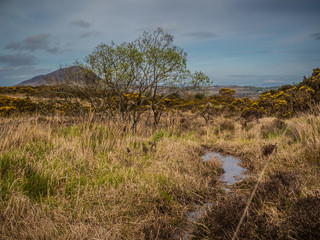 Fototapeta na wymiar Connemara Ireland