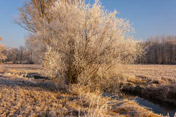 winterliche landschaft
