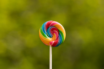Lollipop, Big Round Rainbow colored lollipop isolated grass Green background, copy space