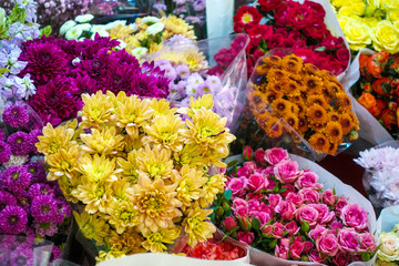 Fototapeta premium beautiful colorful flowers in flower shop