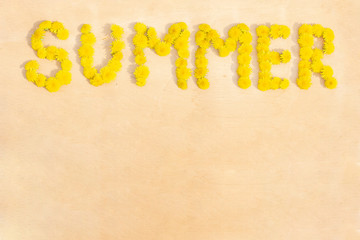 word summer from dandelions on wood surface background copyspace