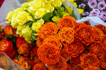 beautiful colorful flowers in flower shop