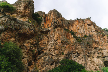 rock in the canyon