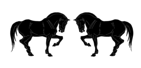 vector isolated prancing silhouettes, black horses on a white background 