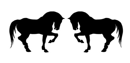 vector isolated prancing silhouettes, black horses on a white background 