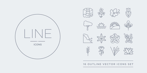 16 line vector icons set such as protea, reed, rose, rosemary, rowan contains sakura, sisyrinchium, snowslide, spear shaped. protea, reed, rose from nature outline icons. thin, stroke elements