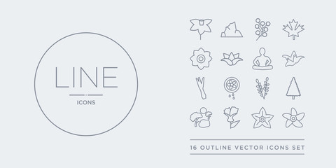 16 line vector icons set such as jasmine, jonquil, knapweed, landscape, larch contains lavender, lemon and juice drop out, lemongrass, lily. jasmine, jonquil, knapweed from nature outline icons.