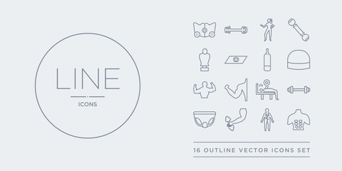 16 line vector icons set such as abs, anatomy, arm, athletic strap, barbell contains bench press, biceps, bodybuilder, bosu ball. abs, anatomy, arm from gym and fitness outline icons. thin, stroke