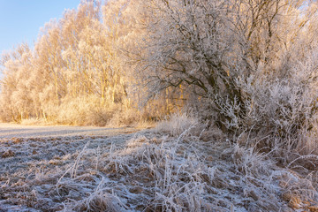 winterliche landschaft
