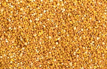 bee pollen organic food background and texture