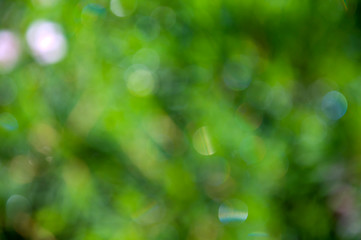 abstract green background