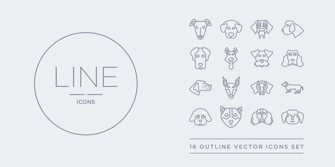 16 line vector icons set such as cockapoo dog, cocker spaniel dog, corgi dog, coton de tulear dachshund contains dalmatian doberman english setters field spaniel cockapoo cocker spaniel corgi from