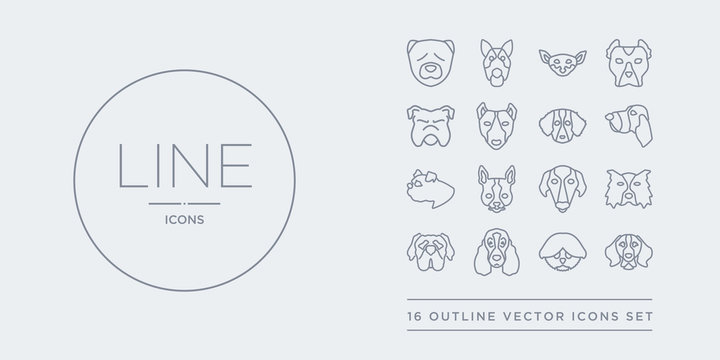 16 line vector icons set such as bernese mountain dog, bichon frise dog, bloodhound dog, boerboel border collie contains borzoi boston terrier boxer bracco italiano bernese mountain bichon frise