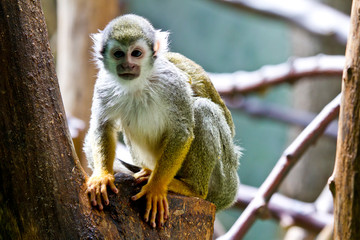 Tiere im Tierpark